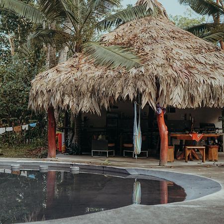 Casa De Los Amigos Caribena Cahuita Eksteriør bilde