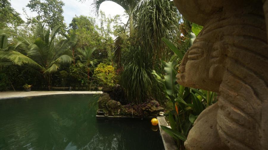Casa De Los Amigos Caribena Cahuita Eksteriør bilde