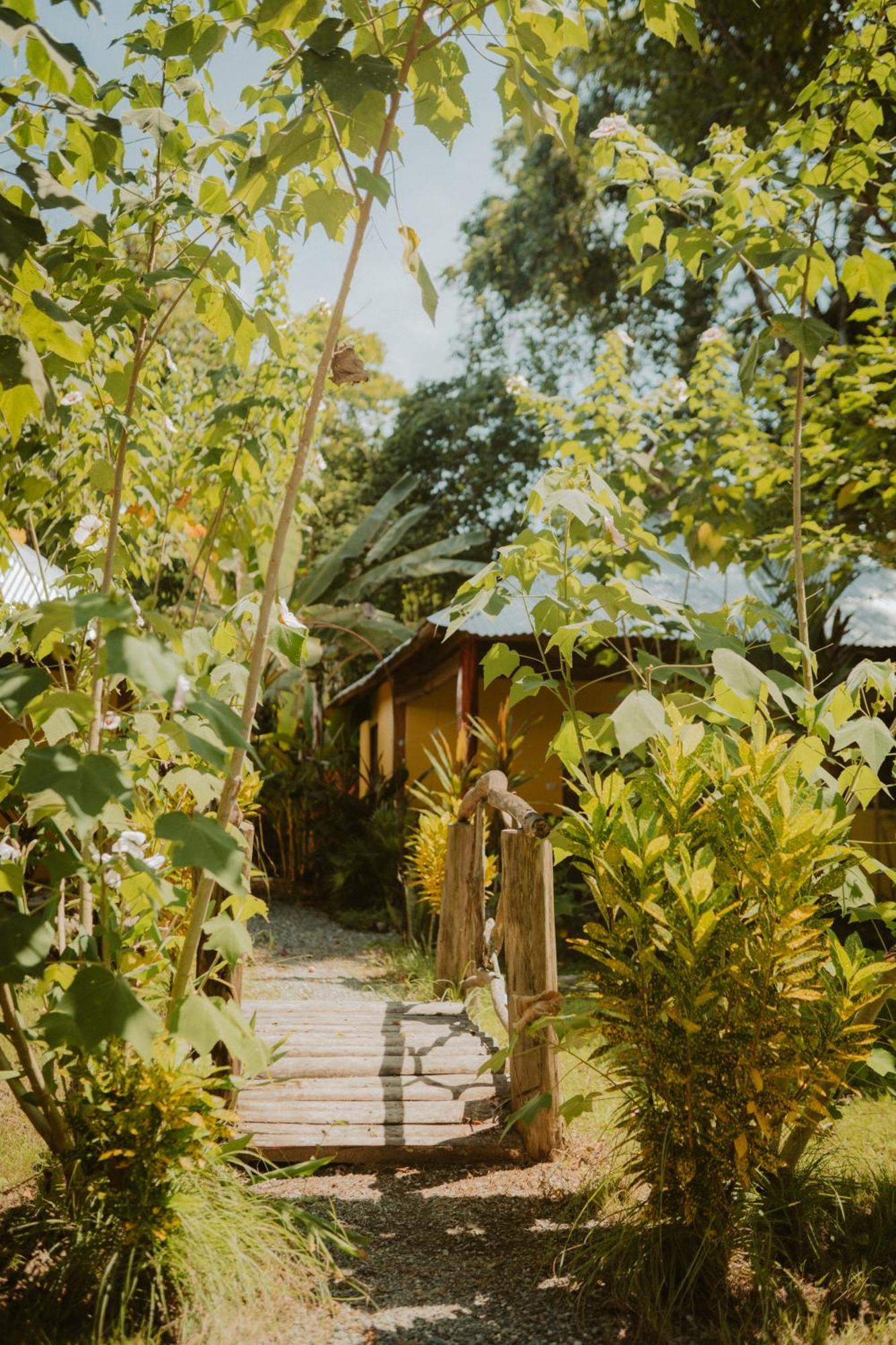 Casa De Los Amigos Caribena Cahuita Eksteriør bilde